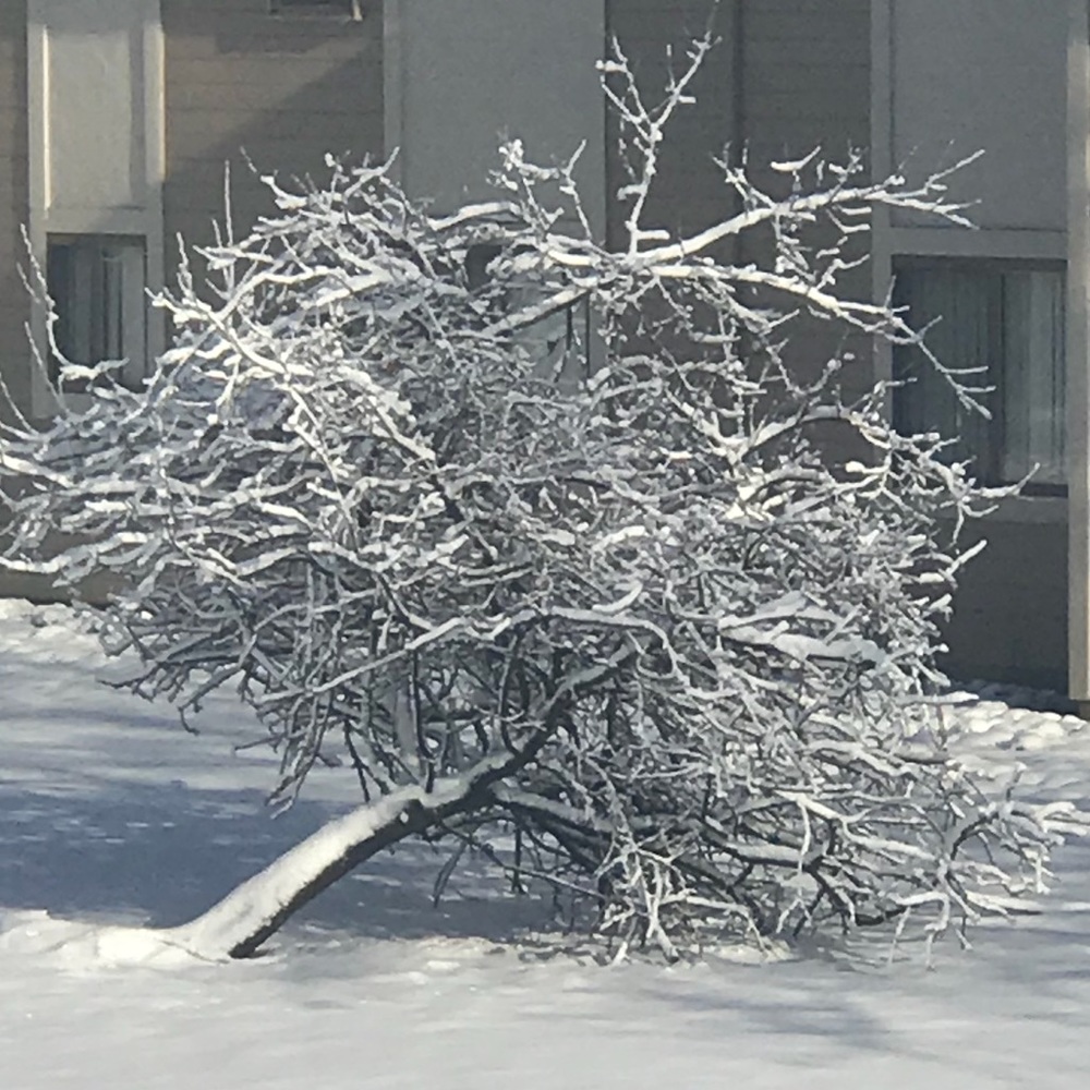 Meet your Posher, Nish